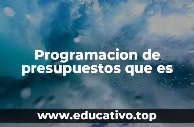 Programacion de presupuestos que es