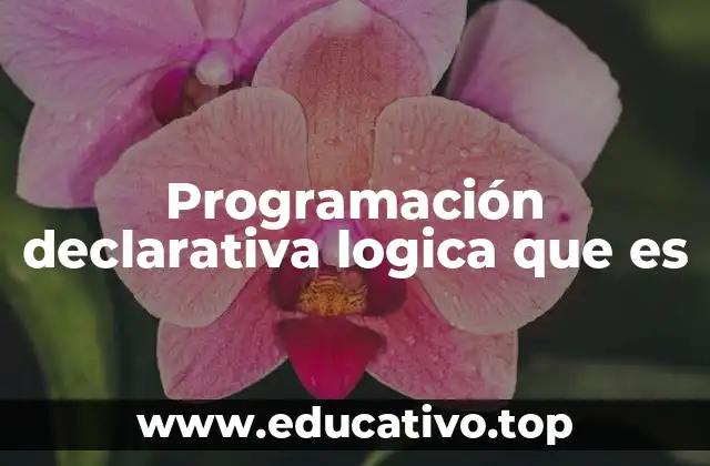 Programación declarativa logica que es