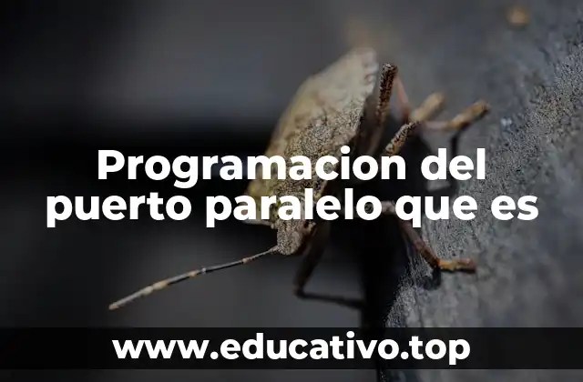 Programacion del puerto paralelo que es