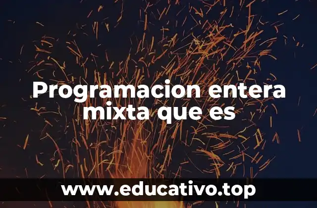 Programacion entera mixta que es