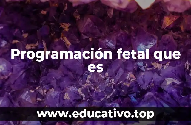 Programación fetal que es