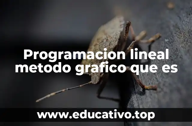 Programacion lineal metodo grafico que es