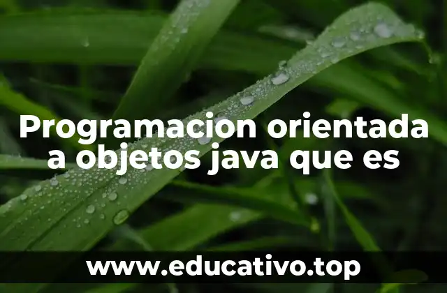 Programacion orientada a objetos java que es