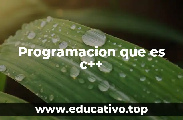 Programacion que es c++