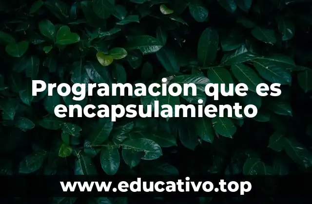 Programacion que es encapsulamiento