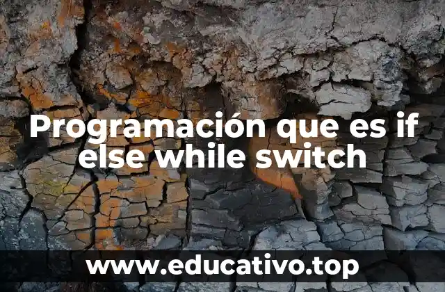Programación que es if else while switch