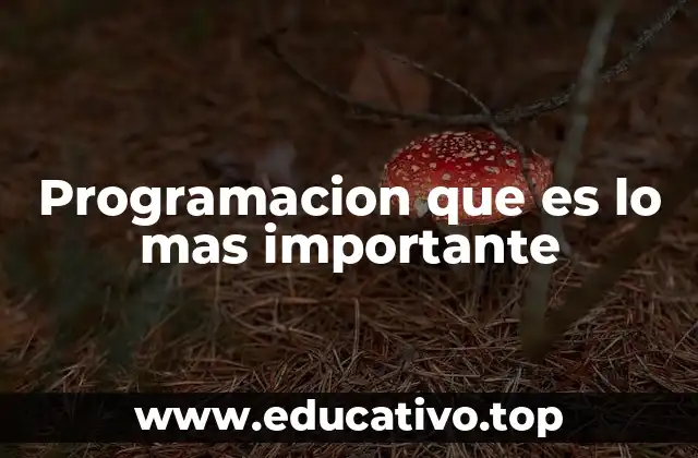Programacion que es lo mas importante