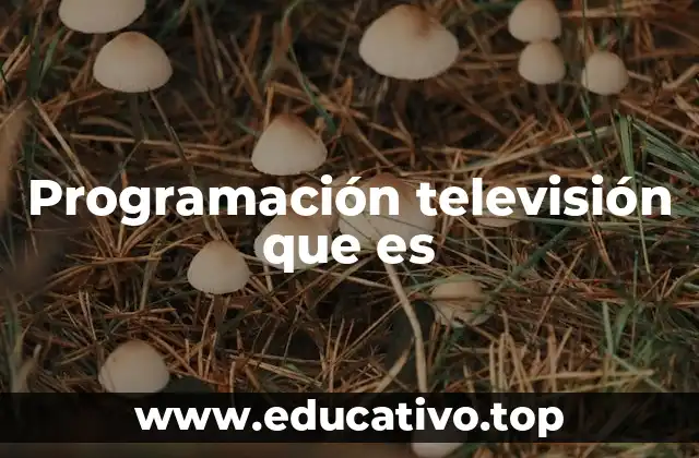 Programación televisión que es
