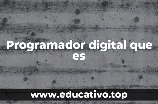 Programador digital que es