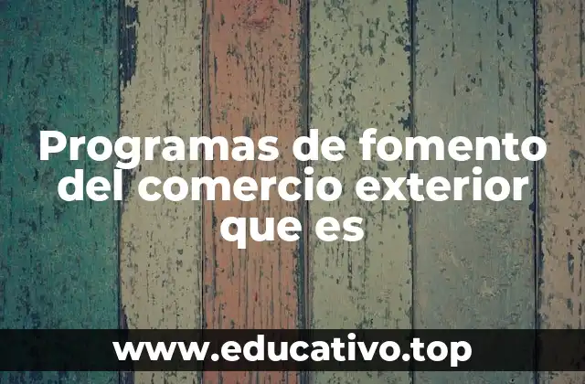Programas de fomento del comercio exterior que es