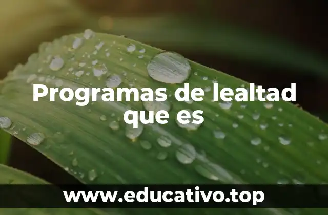 Programas de lealtad que es