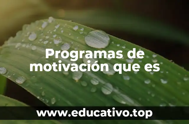 Programas de motivación que es