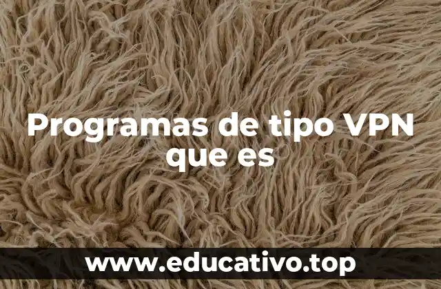 Programas de tipo VPN que es