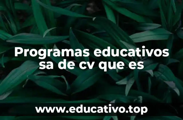Programas educativos sa de cv que es