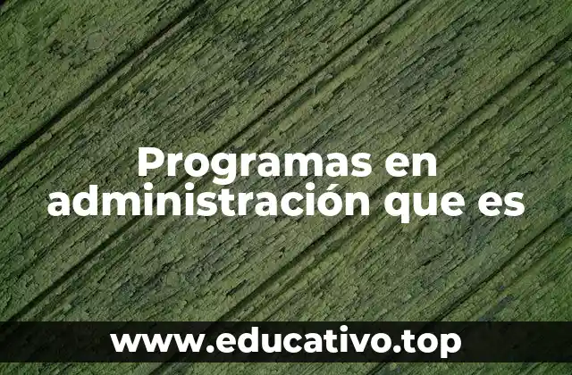 Programas en administración que es