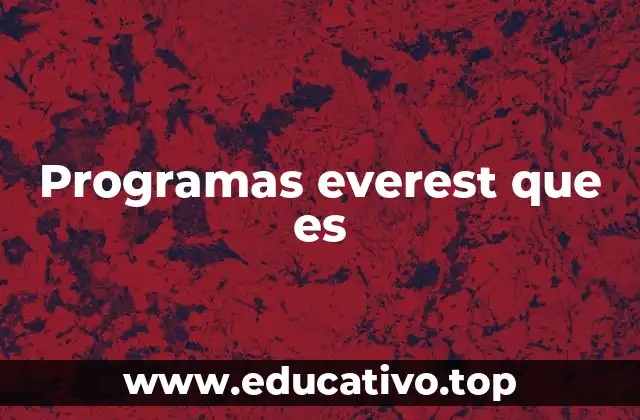 Programas everest que es