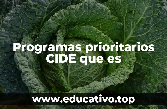 Programas prioritarios CIDE que es