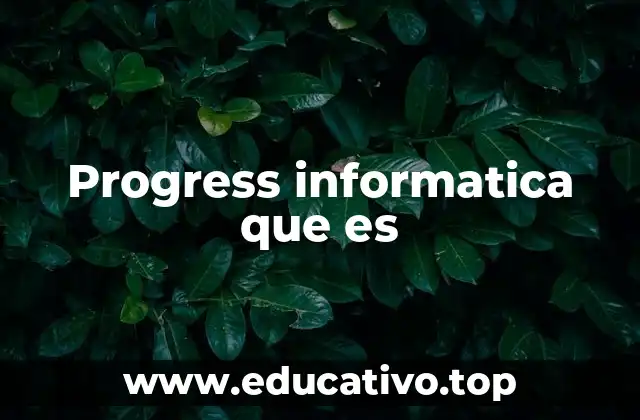 Progress informatica que es