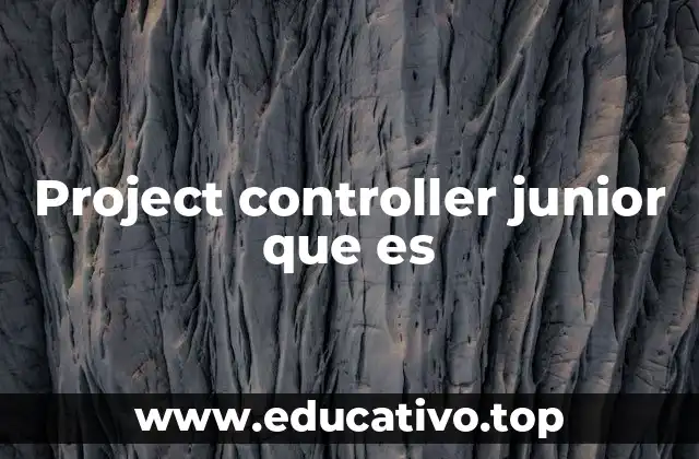 Project controller junior que es