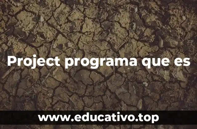 Project programa que es