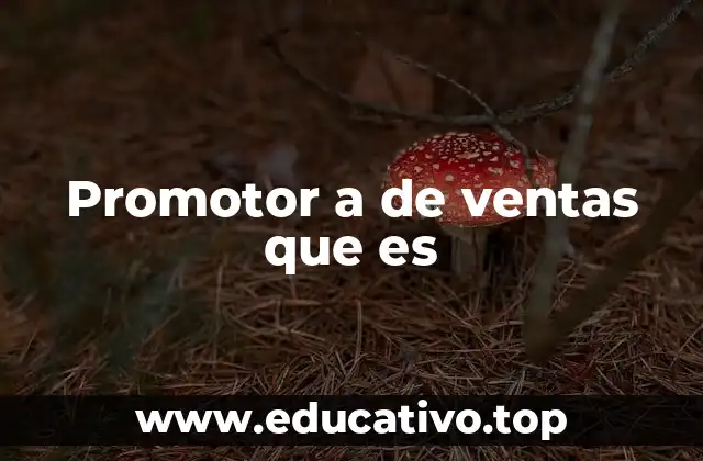 Promotor a de ventas que es