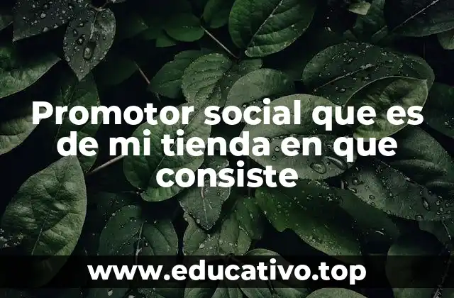 Promotor social que es de mi tienda en que consiste