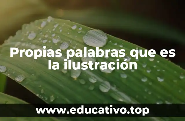Propias palabras que es la ilustración