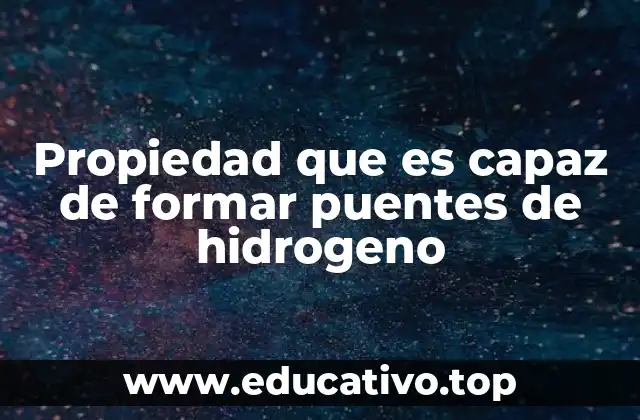Propiedad que es capaz de formar puentes de hidrogeno