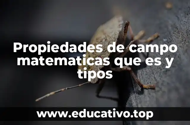 Propiedades de campo matematicas que es y tipos