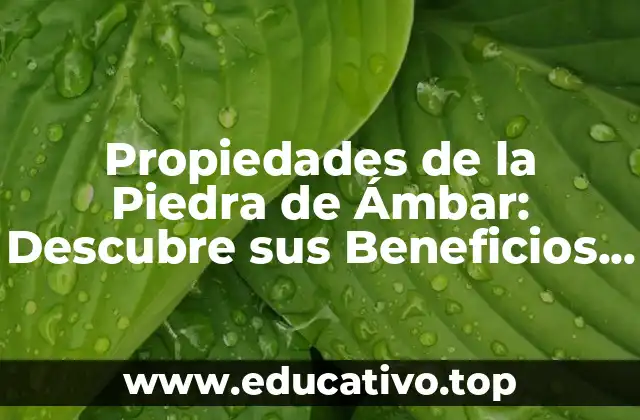 Propiedades de la Piedra de Ámbar: Descubre sus Beneficios y Significado