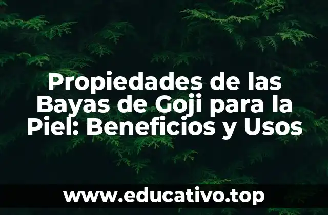 Propiedades de las Bayas de Goji para la Piel: Beneficios y Usos