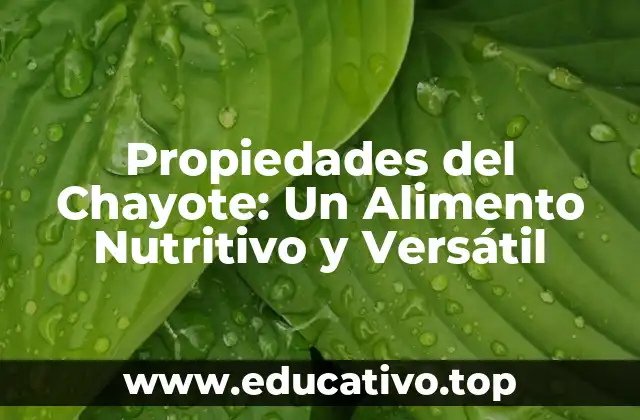 Propiedades del Chayote: Un Alimento Nutritivo y Versátil