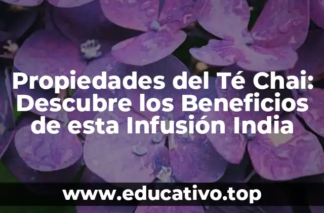 Propiedades del Té Chai: Descubre los Beneficios de esta Infusión India