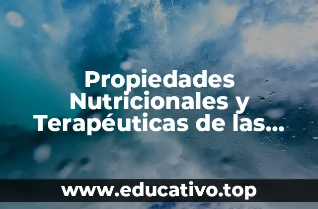 Propiedades Nutricionales y Terapéuticas de las Algas Marinas
