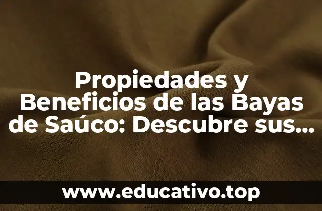 Propiedades y Beneficios de las Bayas de Saúco: Descubre sus Virtudes