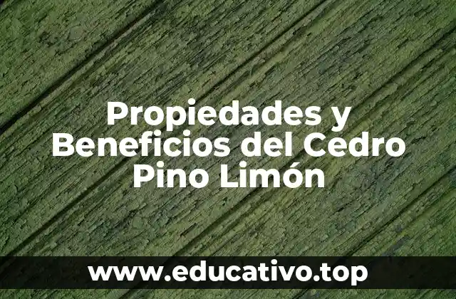 Propiedades y Beneficios del Cedro Pino Limón