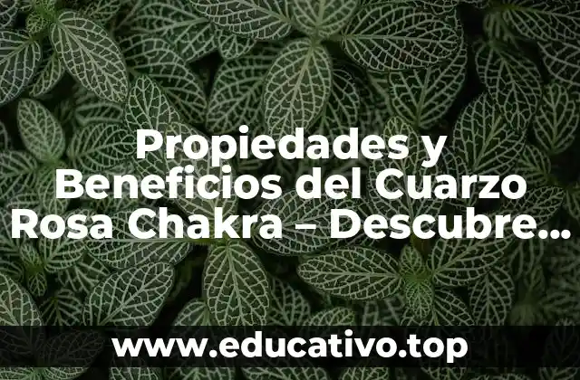 Propiedades y Beneficios del Cuarzo Rosa Chakra – Descubre el Poder del Amor