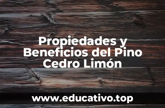 Propiedades y Beneficios del Pino Cedro Limón