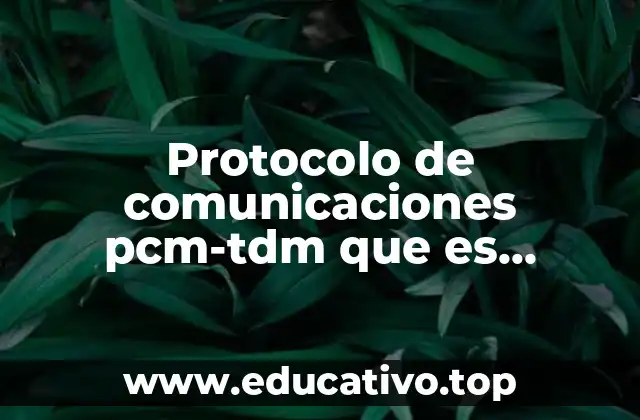 Protocolo de comunicaciones pcm-tdm que es cuasi-síncrona