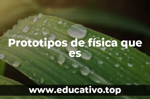 Prototipos de física que es