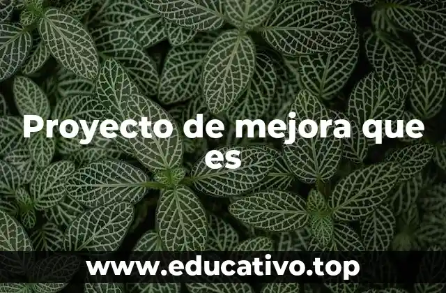 Proyecto de mejora que es