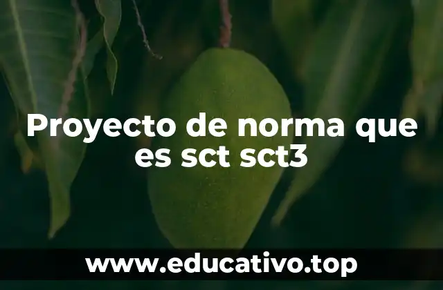 Proyecto de norma que es sct sct3