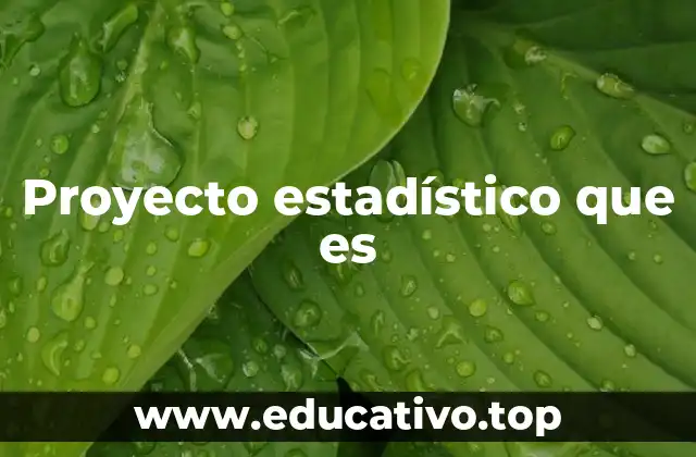 Proyecto estadístico que es