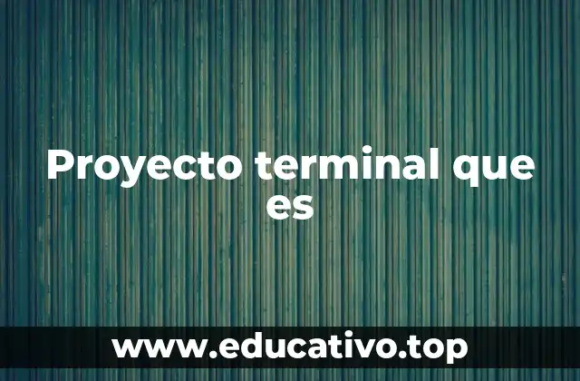 Proyecto terminal que es