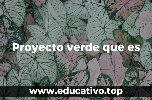 Proyecto verde que es