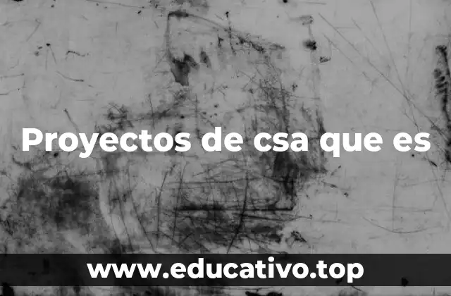 Proyectos de csa que es