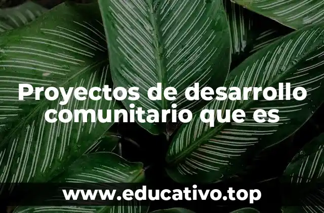 Proyectos de desarrollo comunitario que es