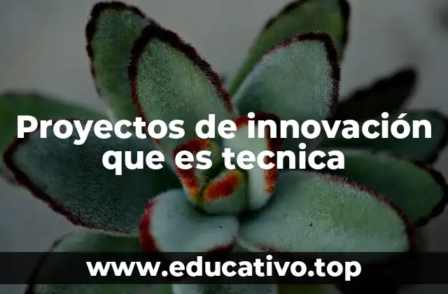 Proyectos de innovación que es tecnica