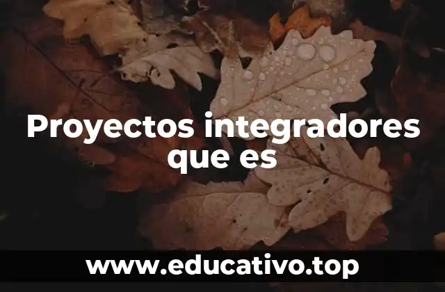 Proyectos integradores que es