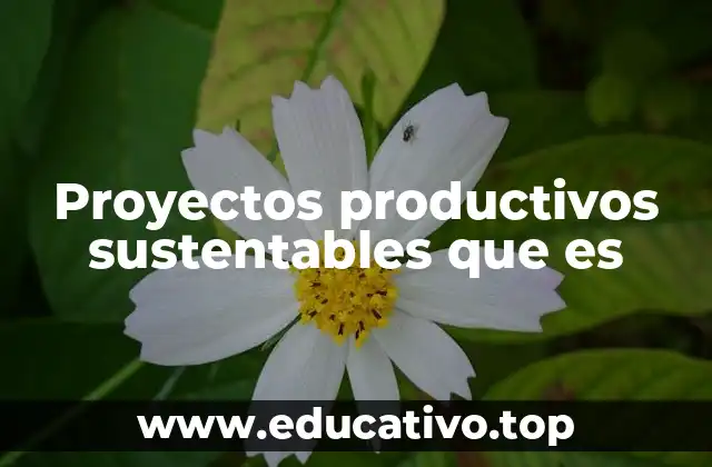 Proyectos productivos sustentables que es